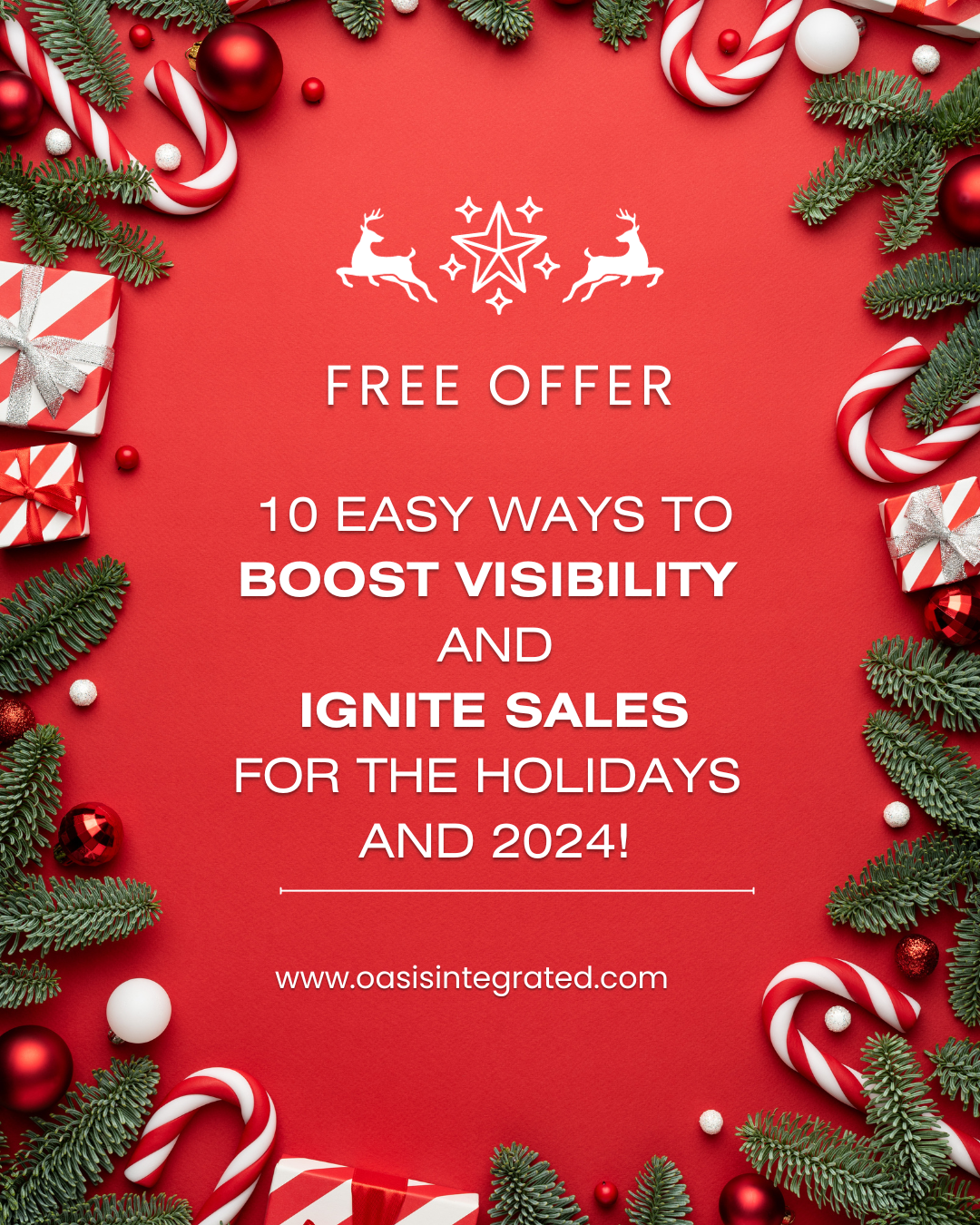 10 Easy Ways to Boost Visibility and Ignite Sales for the Holidays and 2024!
